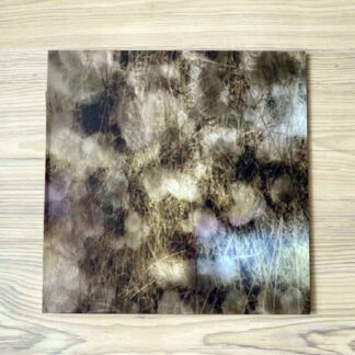 Vinilo O Yuki Conjugate - Sleepwalker  (Ed. Limitada UK, 2021)