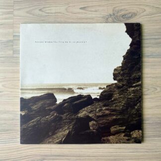 Vinilo Polygon Window - Surfing On Sine  Waves (1ª Ed. uK, 1993)